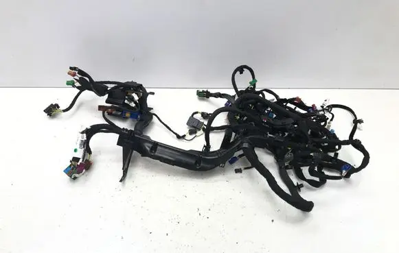 Positive wiring loom