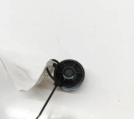 Audi E-tron GT Rear door speaker 971035412
