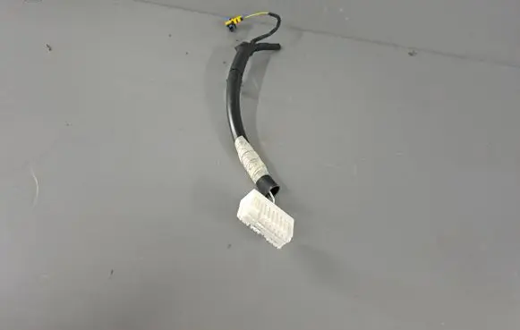Rear door wiring loom