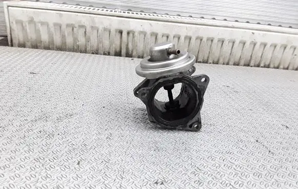 Volkswagen Jetta V EGR valve 038131501AN 227208045