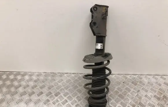 Opel Insignia A Front shock absorber with coil spring 13245966 367327926
