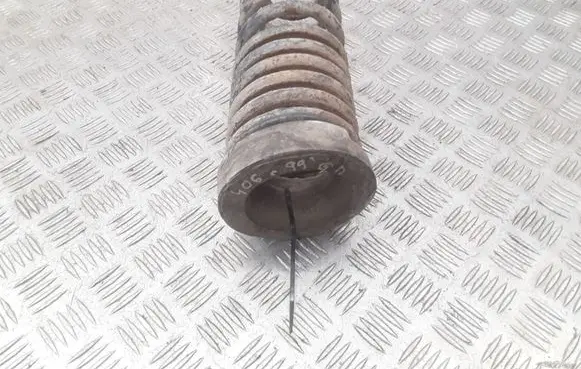 Peugeot 406 Rear coil spring