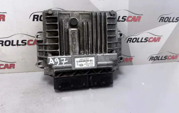 KIA Carnival Engine control unit/module 391044X910 R0412C001G 412C001G71290228