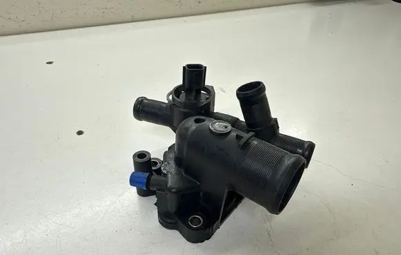 Thermostat/thermostat housing