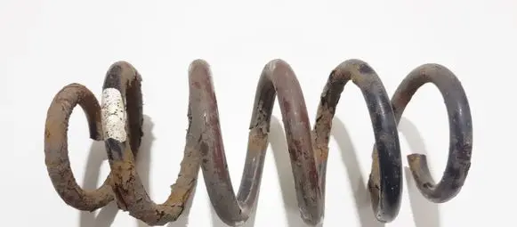 Toyota RAV 4 (XA30) Rear coil spring