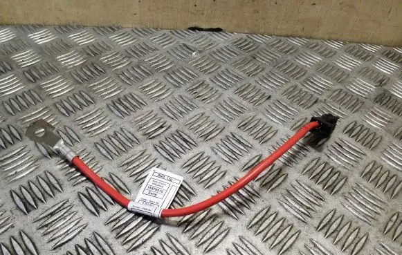 BMW X1 E84 Other wiring loom 9207521 15974510