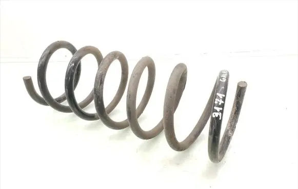 Rear coil spring