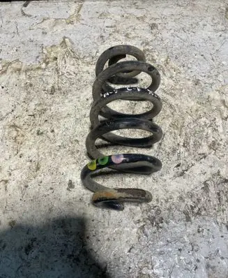 Rear coil spring