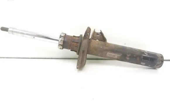 Volkswagen PASSAT B6 Front shock absorber/damper 3C0413031AC