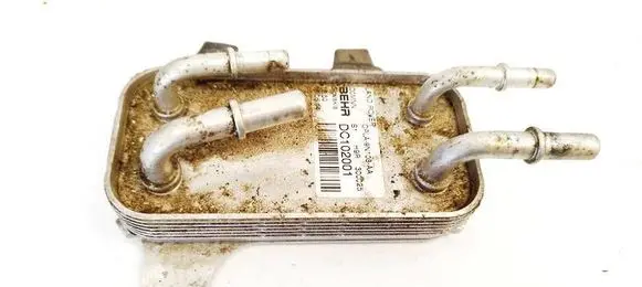 Land Rover Range Rover Sport L320 Fuel cooler (radiator) DC102001 CPLA9N103AA