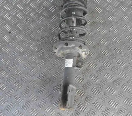 Opel Meriva B Front shock absorber/damper 22243718 24403433