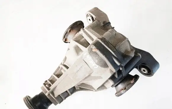 Porsche Cayenne (9PA) Rear differential