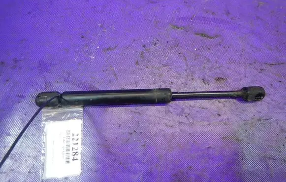 Tailgate strut