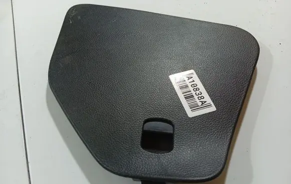 Opel Antara Other interior part 95061088