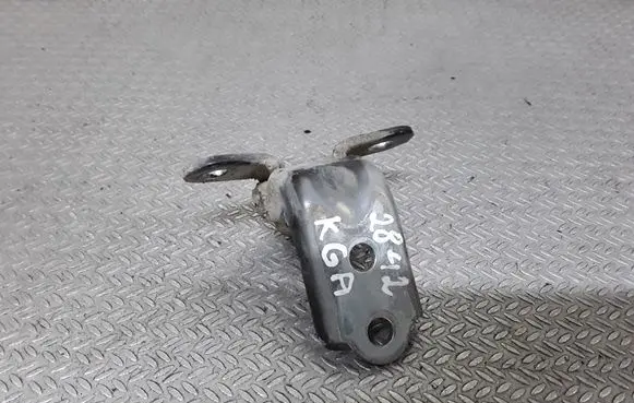 Hyundai Grandeur Rear door lower hinge