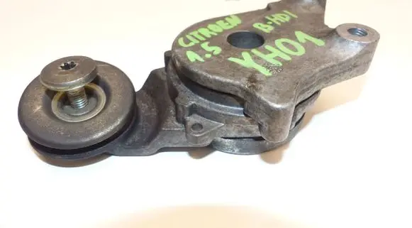 Ford Focus Timing belt/chain tensioner JN1Q-6A228-AA