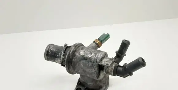 Thermostat/thermostat housing