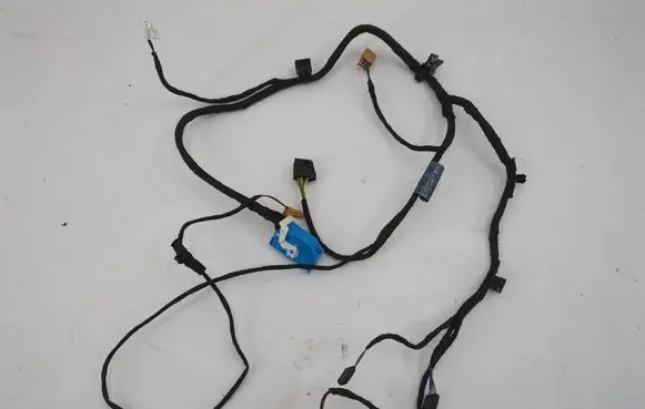 Front door wiring loom