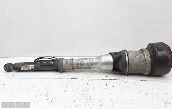 Mercedes-Benz S AMG W221 Rear shock absorber/damper 221320