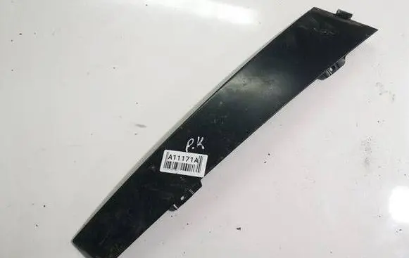 Volkswagen PASSAT B6 Other front door trim element 