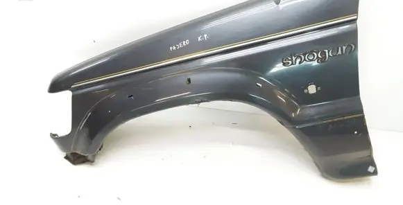 Mitsubishi Pajero Fender