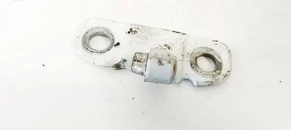 Land Rover Discovery Sport Rear door lower hinge