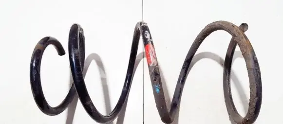 Toyota Prius (XW20) Front coil spring