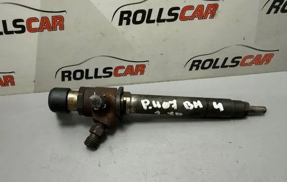 Peugeot 407 Fuel injector 5U3Q9K546AA
