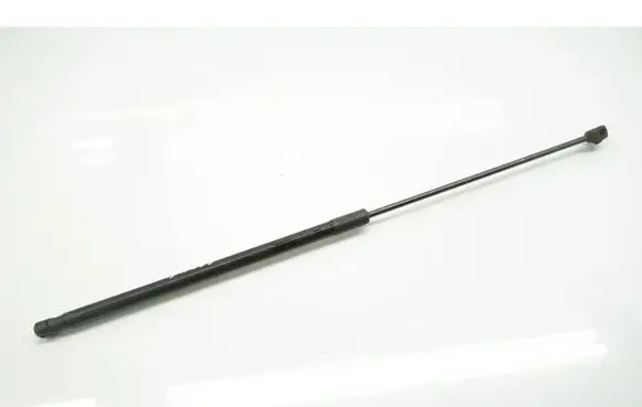 Tailgate/trunk strut/damper