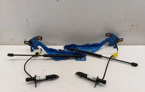 Ford Mustang Mach-E Engine bonnet/hood hinges LJ8BR16C827AB 2806P1005261 J88ACT2006543