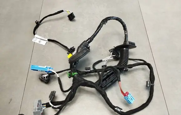 Volkswagen Tiguan Front door wiring loom/harness boot 571971162T