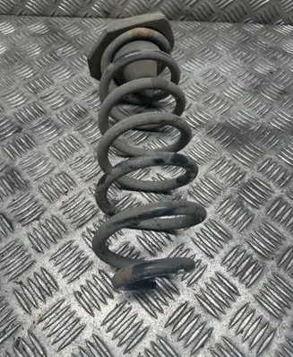 Rear coil spring