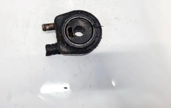 Renault Espace - Grand espace IV Engine oil radiator 