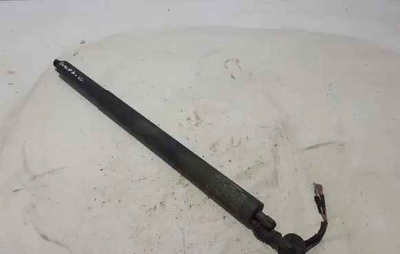 Tailgate strut