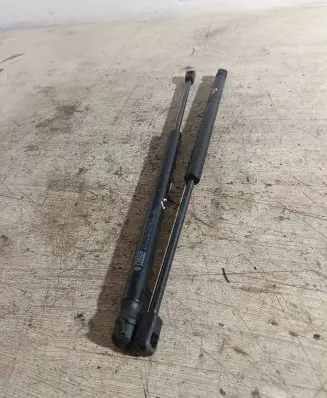 Tailgate strut