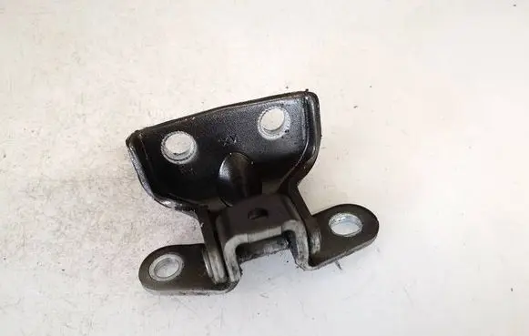 Rear door lower hinge