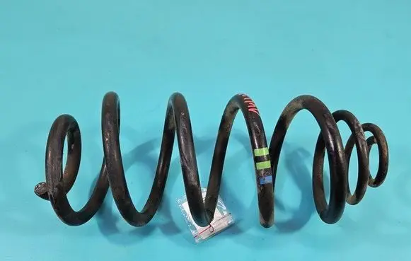 Rear coil spring
