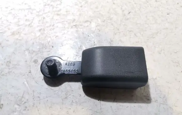 Tesla Model S Rear seatbelt buckle 2460921AEW