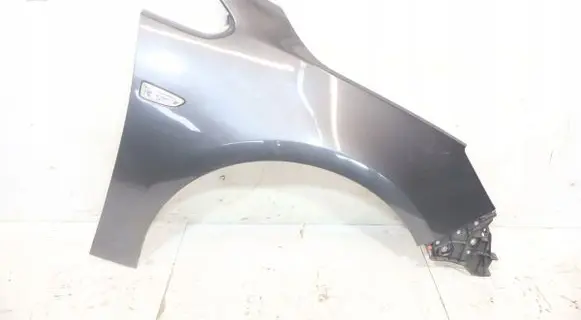 Fender