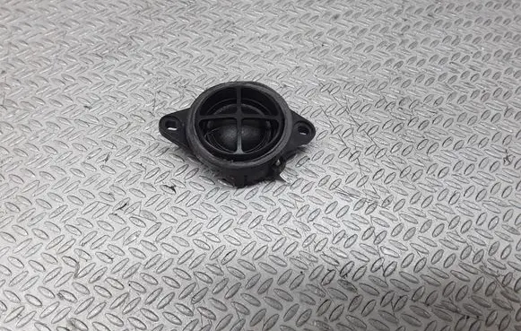 Front door high frequency speaker