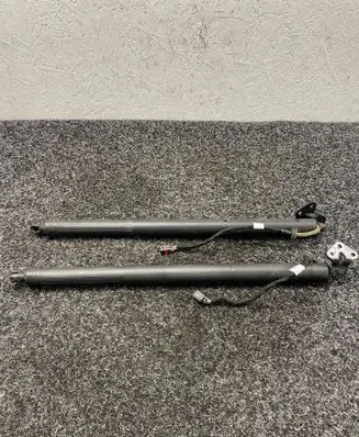 Tailgate/trunk strut/damper