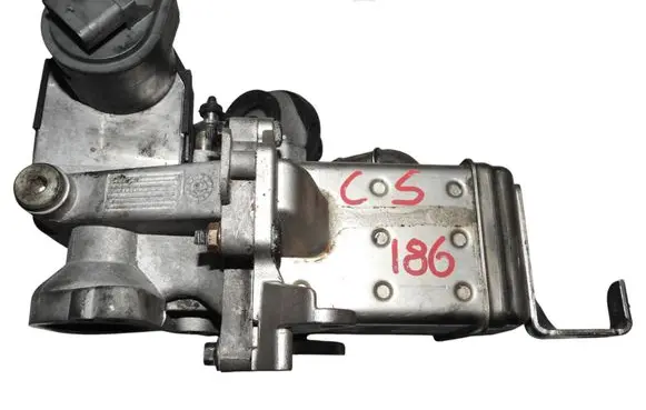 Volvo XC60 EGR valve 4248R104 261008043