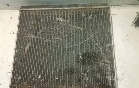 Citroen C8 Coolant radiator 9641728380