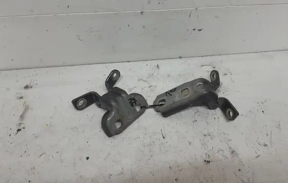 Opel Astra J Rear door hinge set 