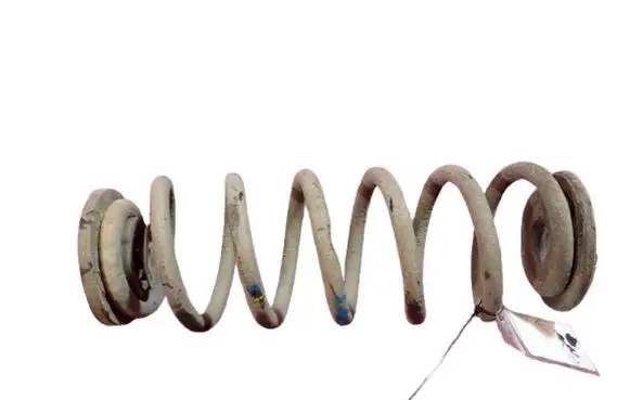 Rear coil spring