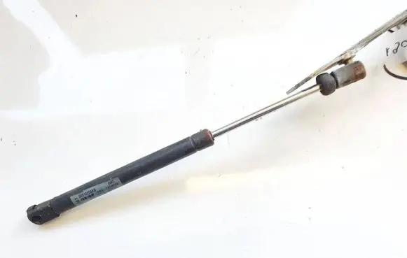 Tailgate/trunk strut/damper
