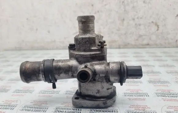 Volkswagen Golf IV Engine coolant pipe/hose 038121133A