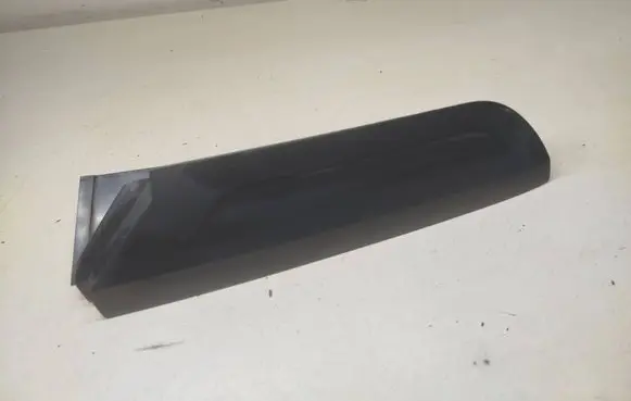 Rear/tail light trim molding