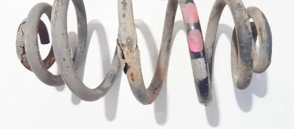 Rear coil spring