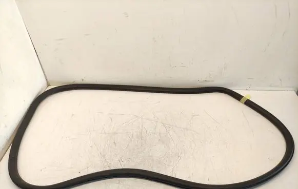 Opel Insignia A Front door rubber seal 13228126